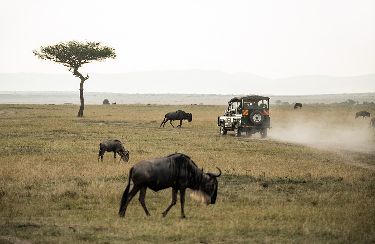 16 Awesome Ways to Explore Tanzania